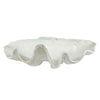Faux Giant Clamshell - White ***HIRE ONLY***