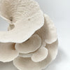 Turban Vase Coral Specimen F