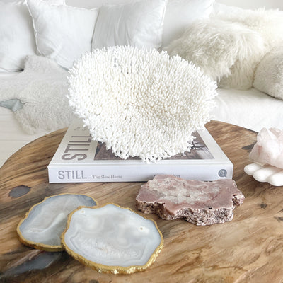 Real Plate Coral Sustainably Sourced Specimen A