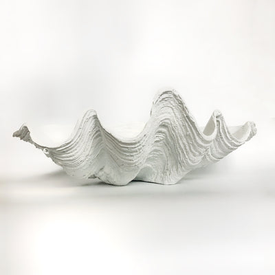 Resin Faux Giant Clamshell White 69 CM